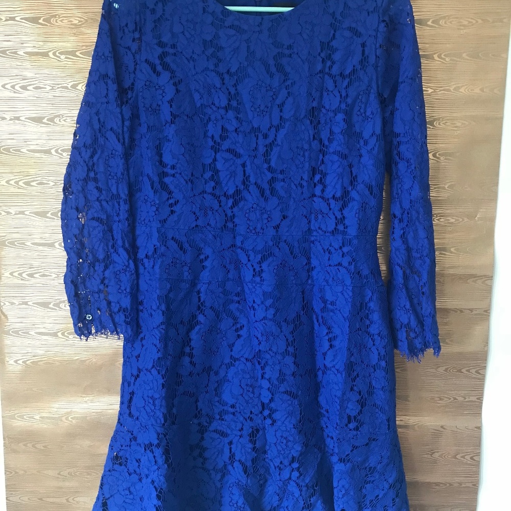 J. Crew Cobalt Blue Lace A-Line Long Sleeve Dress - Picture 3 of 7